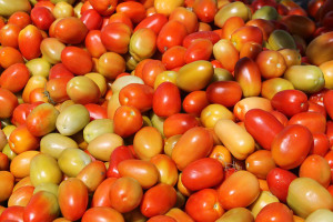 tomato-299277_640